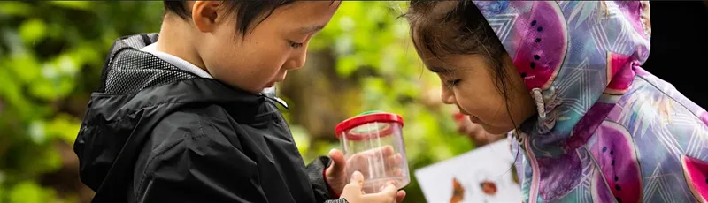 Urban Nature Club at Woodberry Wetlands: Make a Stop Motion Nature Story