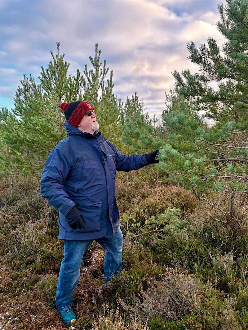 Choose Your Own Culloden Christmas Tree