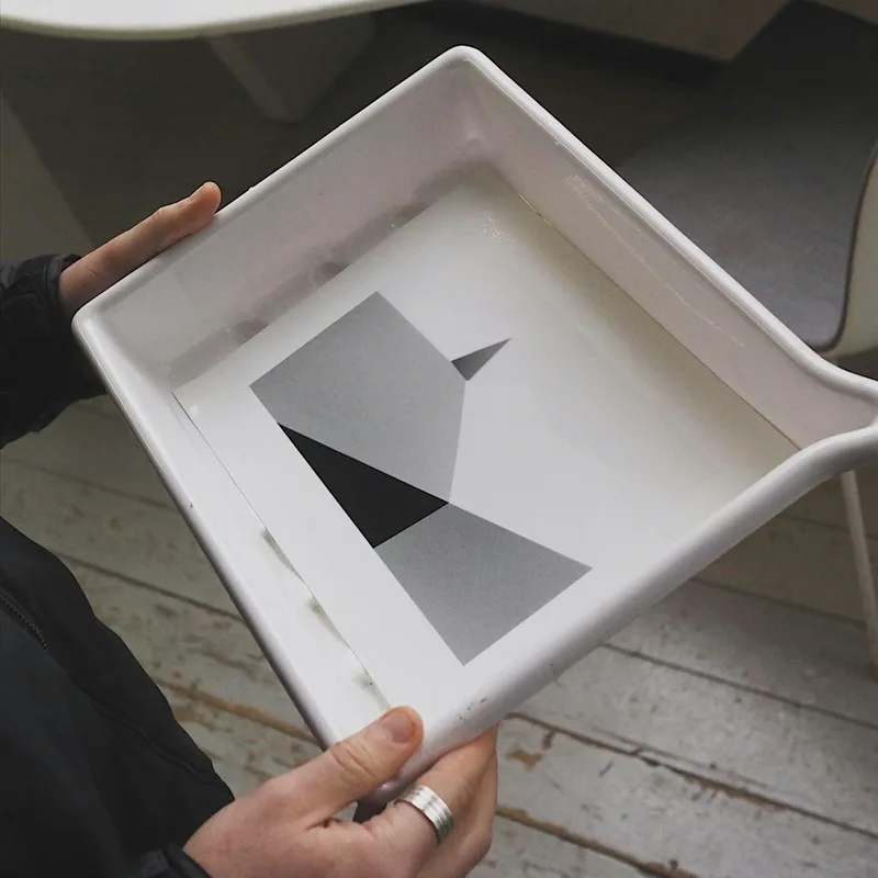 The Silver Print: The Art of Black & White Printing