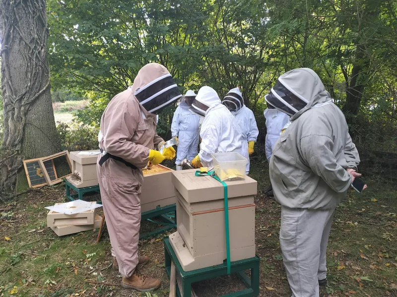 Beekeeping Taster Session