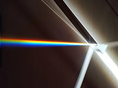 Prism Break (family)