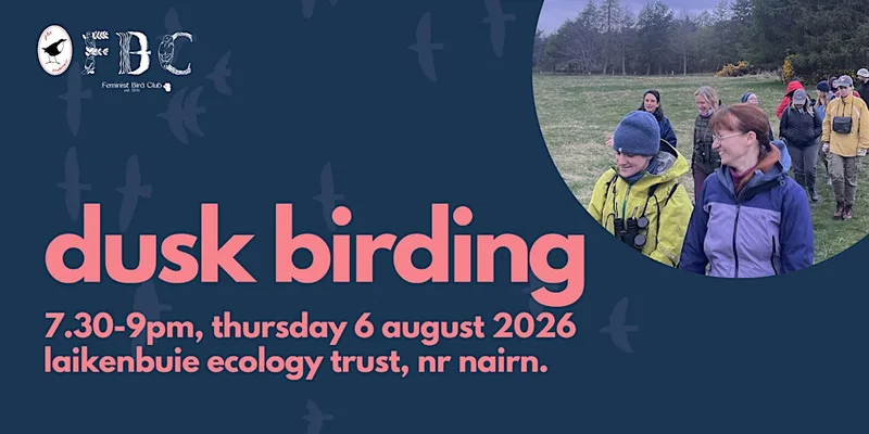 dusk birding