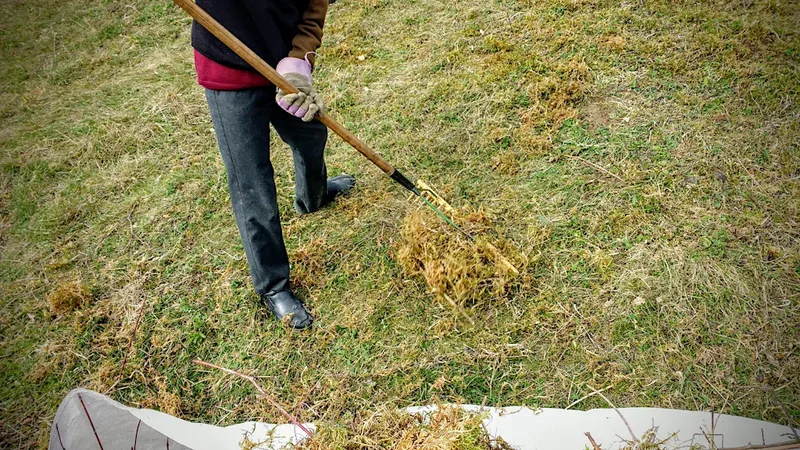 Raking & Rejoicing at Highfield and Hangingcroft