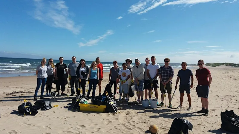Marine Week: Blyth beach clean and seaweed spotting