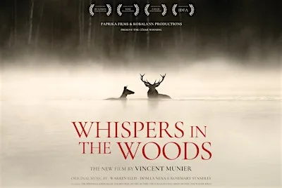 Whispers in the Wood