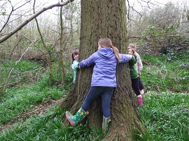 NWT Sweet Briar Marshes: Treemendous trees (family event)