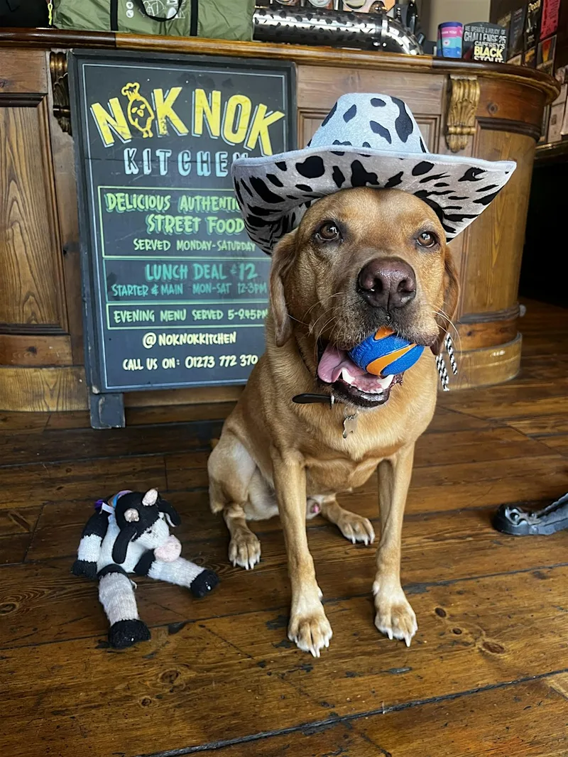 PRIDE PUB QUIZ
