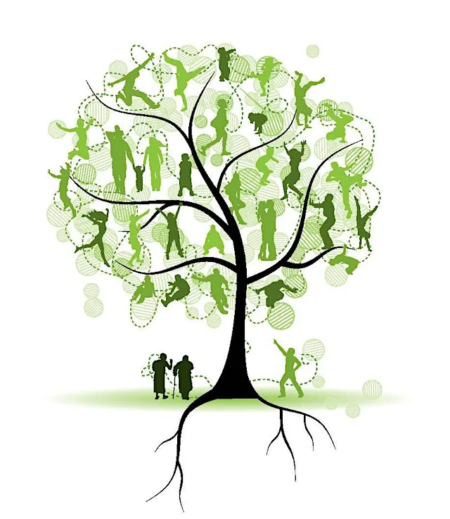 Systemic & Family Constellations