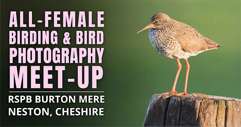 All-Female Bird & Bird Photography Morning