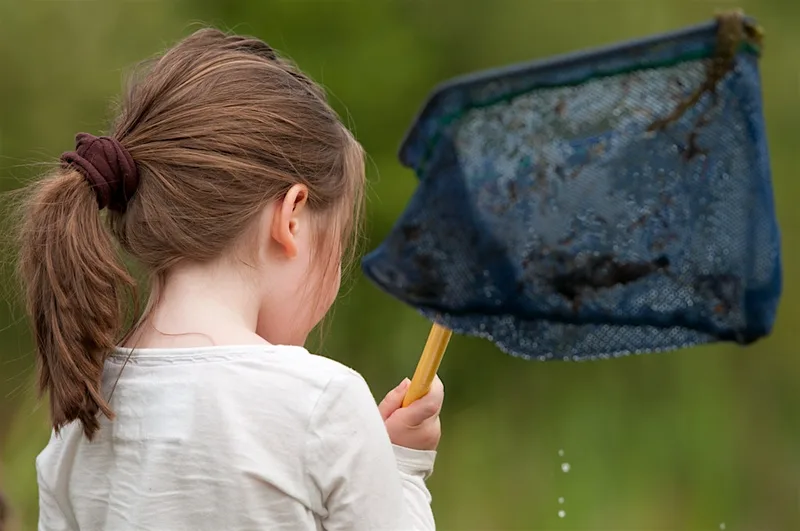 Victoria Park Wildlife Watch: Pond Dipping (August 2026)