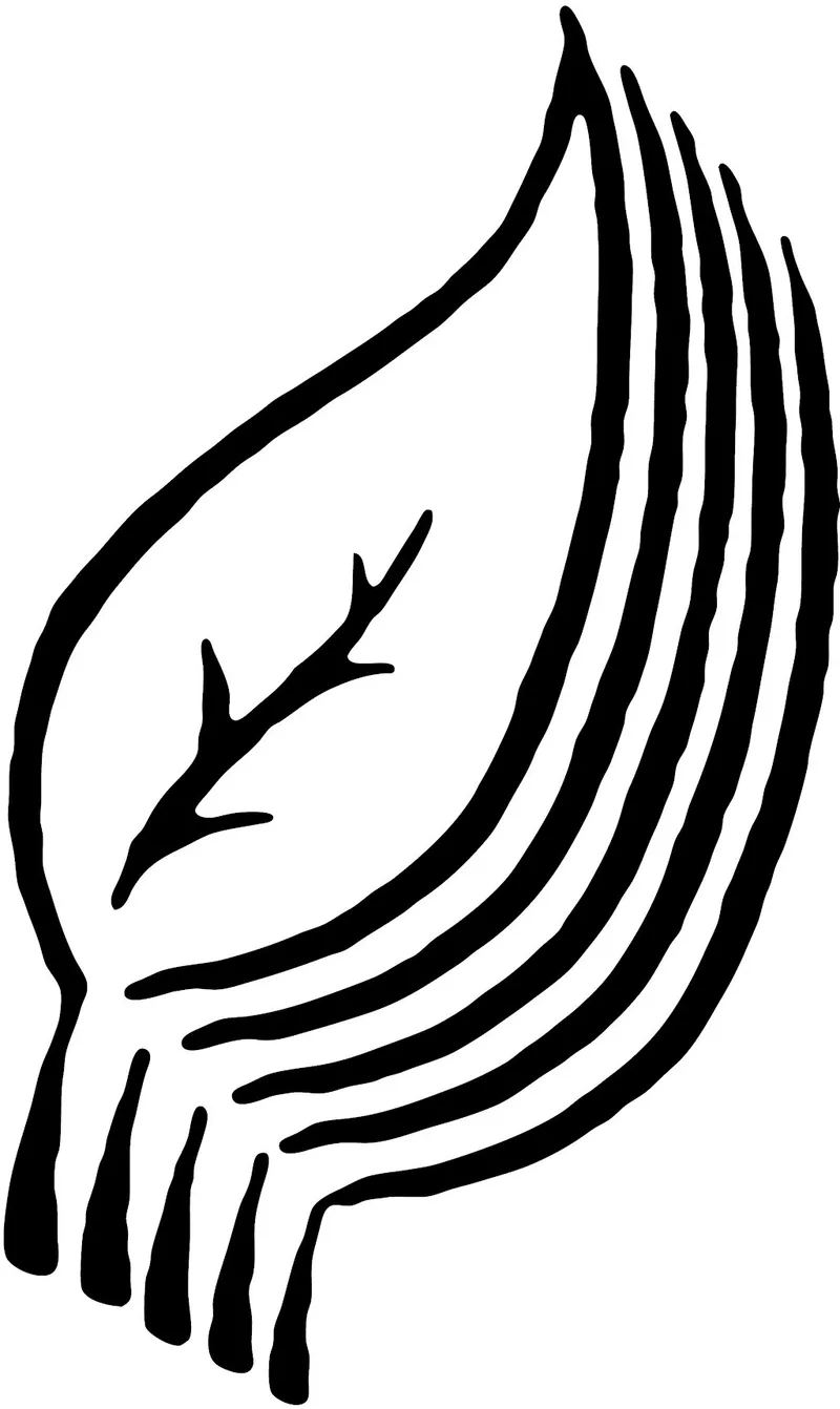 Inspire Poetry Festival 2026 - Five Leaves New Poetry: The First Three Years
