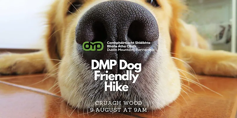 DMP Dog Friendly Hike at Cruagh Woods