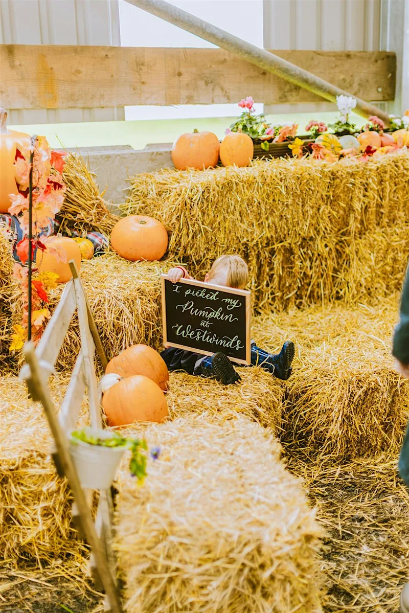 Mini Shoots at Westwinds