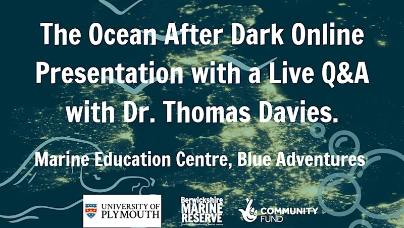 The Ocean After Dark - Online Talk