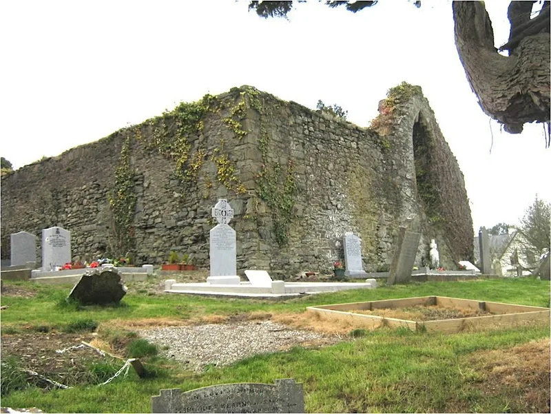 History Tour-"Stamullen, Monastic Site, Medieval Church & Graveyard"