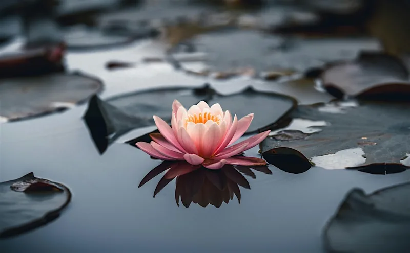 Course in Malvern: How to live a meaningful life