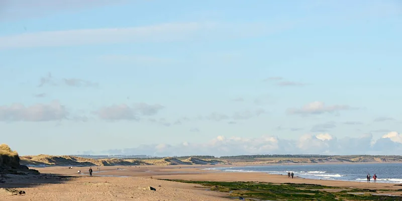 Celebrate our Geordie Shores
