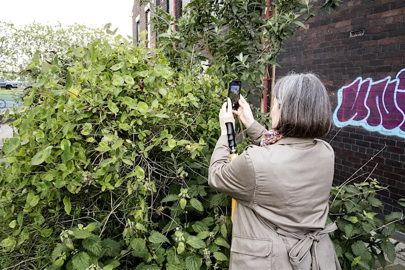 Guided Photo Walk with Wild Edge Arts (Formerly Urban Wilderness CIC)