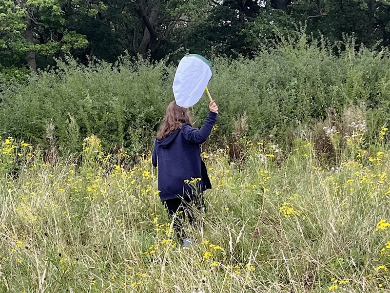 Bee Wild! Summer Walk & Picnic