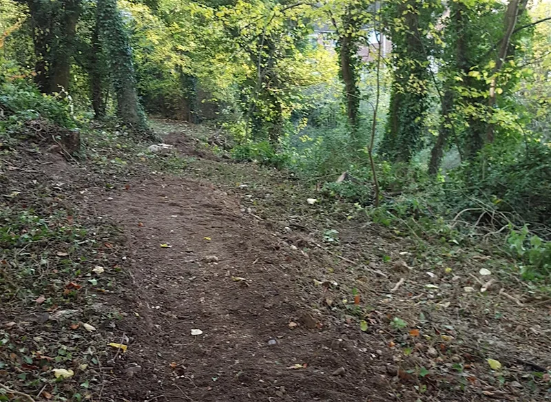 Green Thursday at Highfield and Hangingcroft Wood