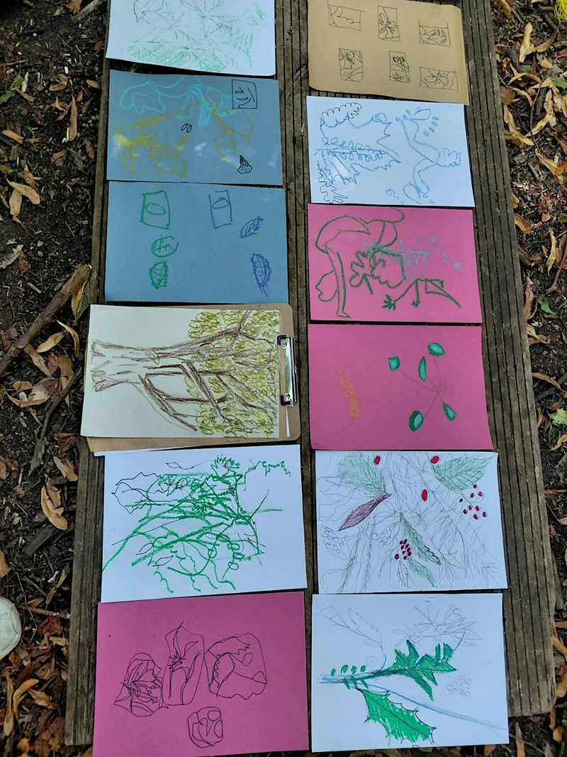 The Creative Woods at Damhouse