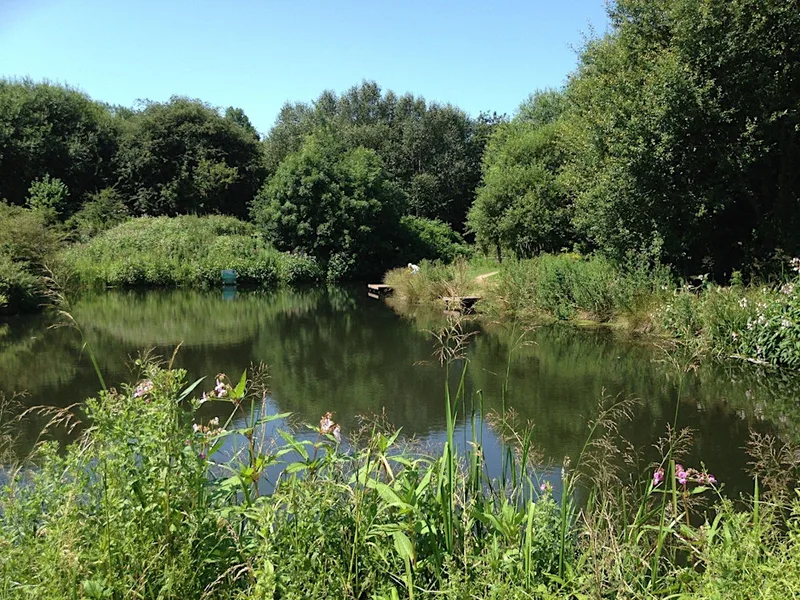 Community Walk - Burrs Country Park