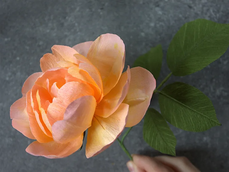 Paper Rose Workshop