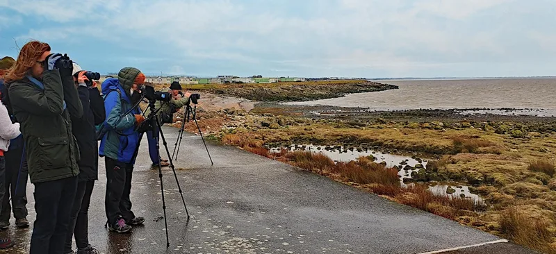 Sea Watch - Heysham