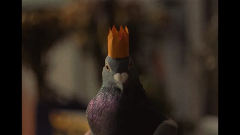 Let's Talk About Loss | EVERYMAN Bristol : Short Film for Grievers
