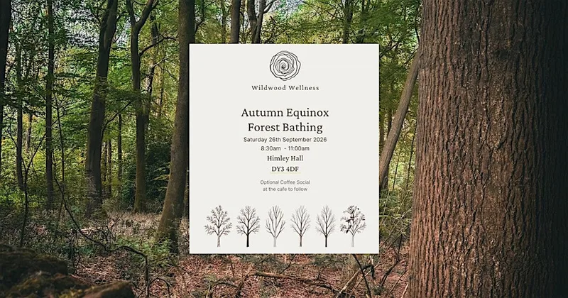 Autumn Equinox Forest Bathing