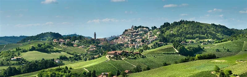 Nebbiolo & Truffles: From Langhe to Barolo | A Piedmont Wine Experience