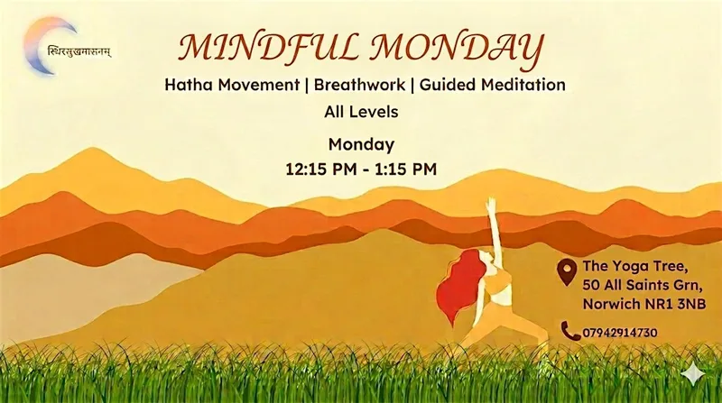 Holistic Hatha Yoga @ The Yoga Tree