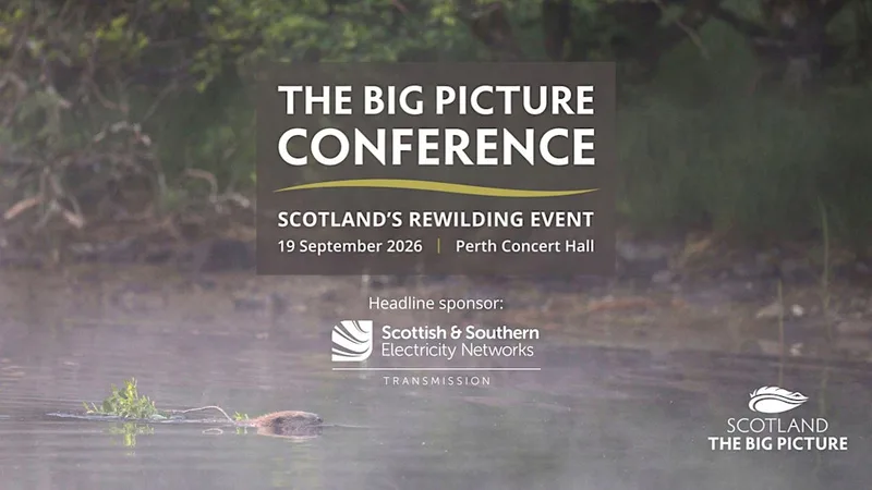 The Big Picture Conference 2026