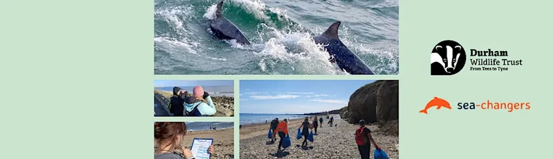 Sea Rangers: Seal Session at Seal Sands