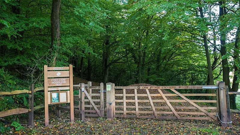 Immersive Sound Walk at Casehill Woods
