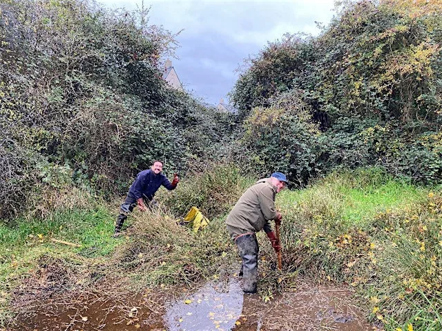 Pond Restoration at Silver Street Nature Reserve