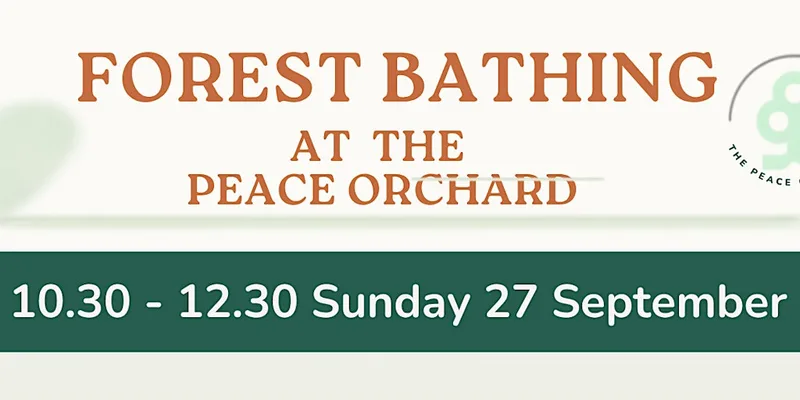 FOREST BATHING AT THE PEACE ORCHARD