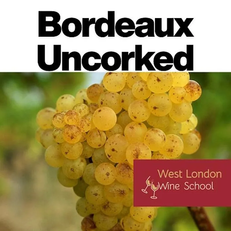 Bordeaux Uncorked Part IV: Bordeaux After Dark – Bubbles, Botrytis & Liquid