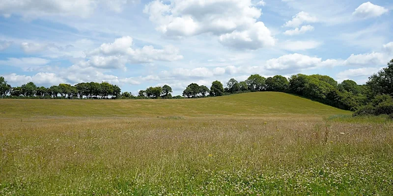 Dean Farm Wildlife Survey Taster Morning.Bring a picnic & enjoy the view 2!