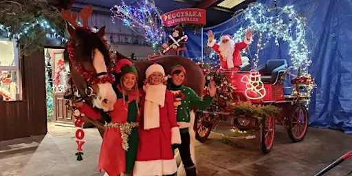 Santa is coming to Peggyslea Clydesdales!