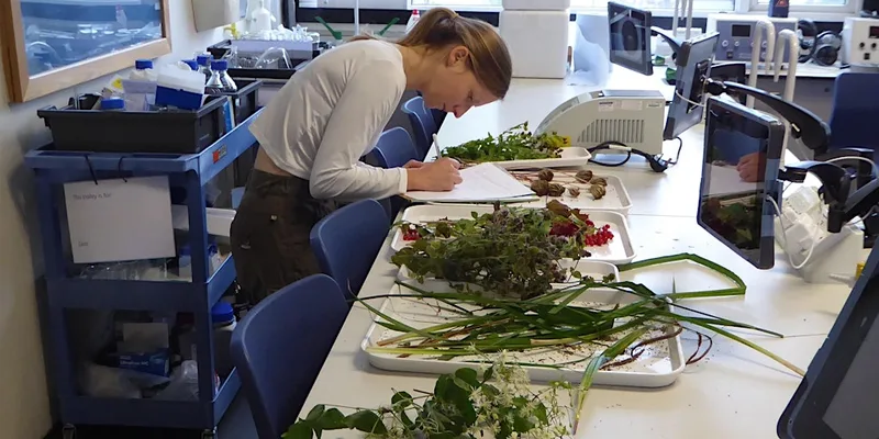 Botany Evening Classes - Canterbury