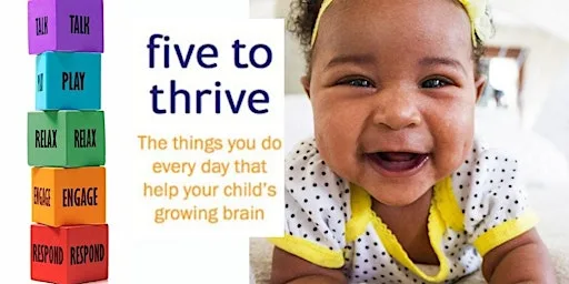 Five to Thrive New Baby Course (4 weeks from 02.09.26) Petersfield - SW