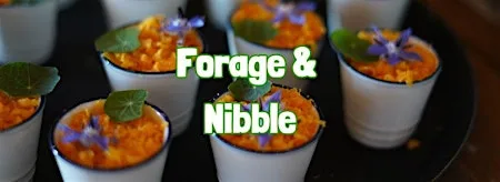 FORAGE & NIBBLE in Whistable (Kent)