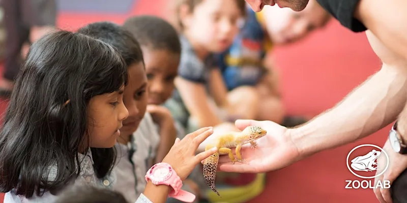 Animal Explorer Workshop