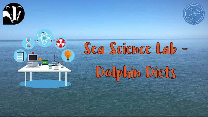 Sea Science Lab - Dolphin Diet Detective