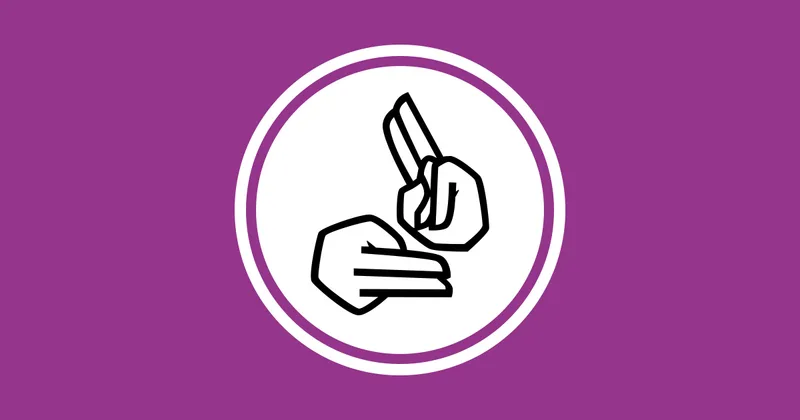 BSL Service