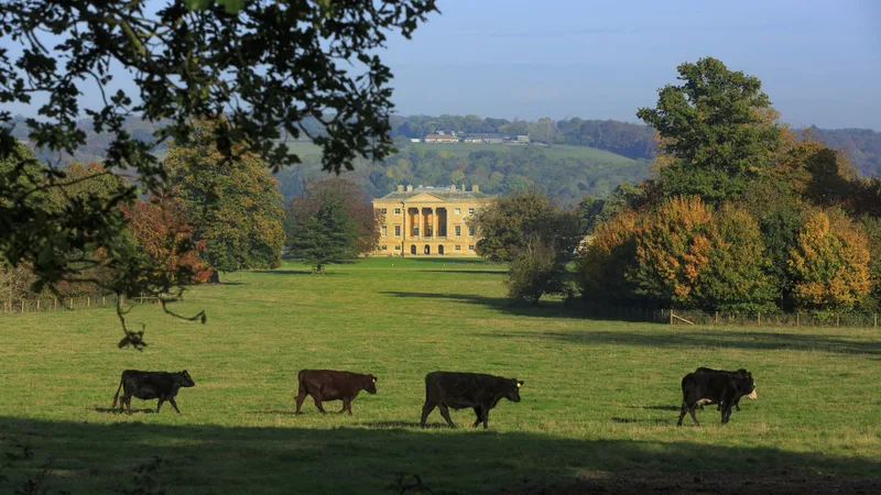 Christmas at Basildon Park