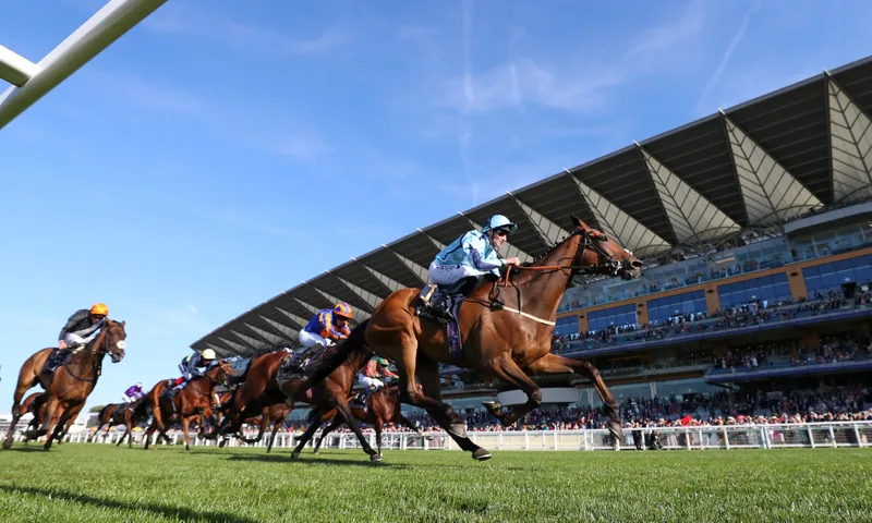 Autumn Racing Weekend - Friday - Ascot Racecourse