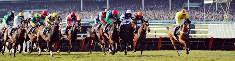 Cheltenham Festival Day 1: Champions Day