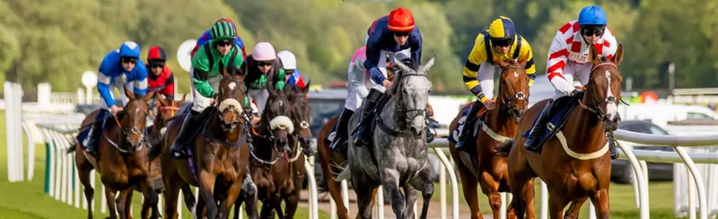 Christmas Party Raceday - Uttoxeter Racecourse